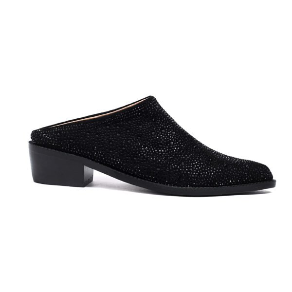 Ladies' Fashionable Rhinestone Pointed Slippers Trendy Thick Heels All Seasons Slipers - 图片 6